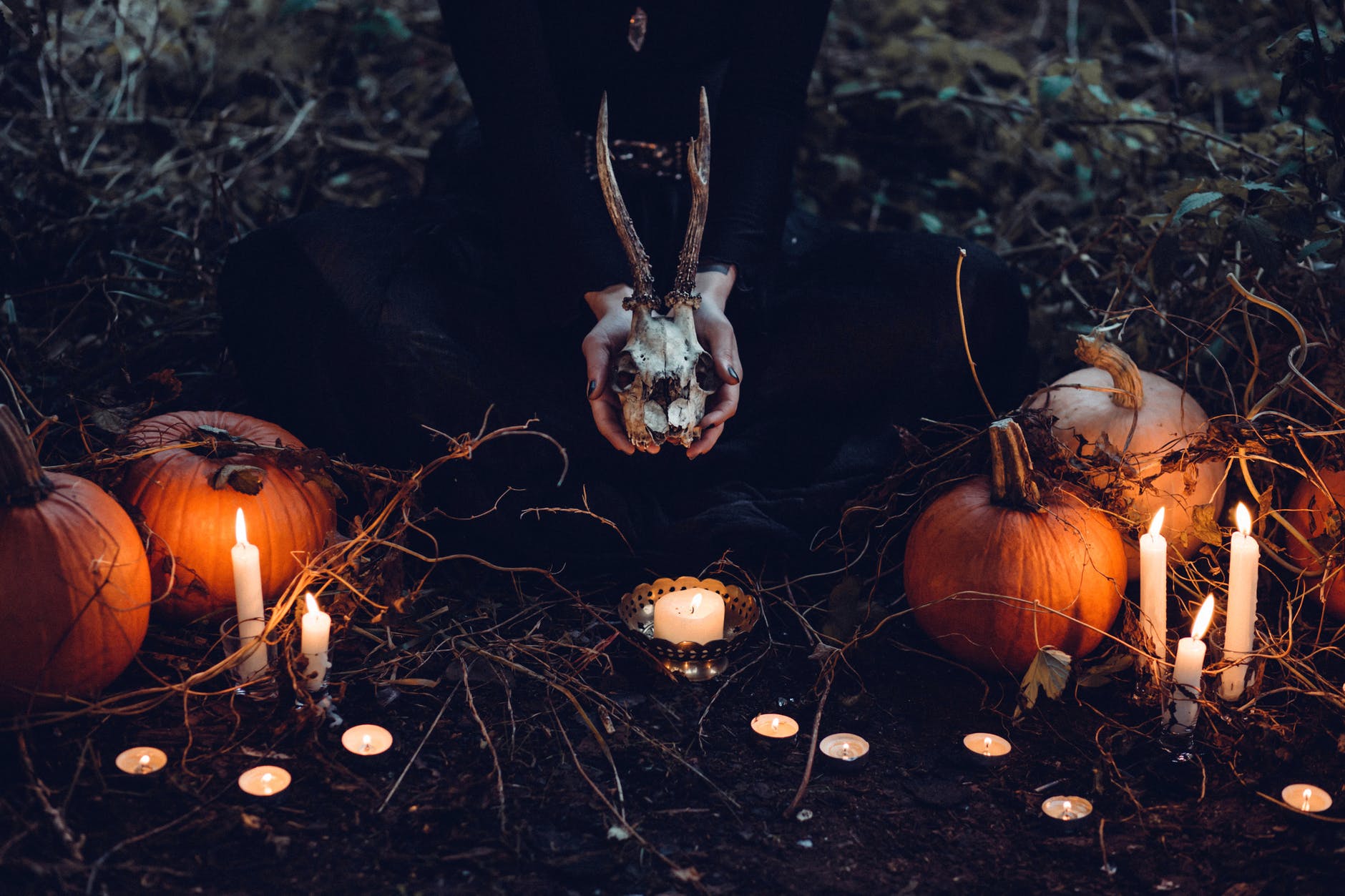 brown pumpkin halloween decor and gray skull at grass field